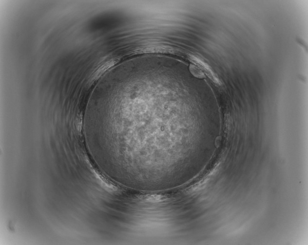 X0000091290841200708171343