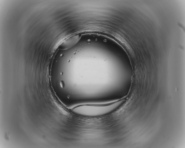 X0000091290842200708171343