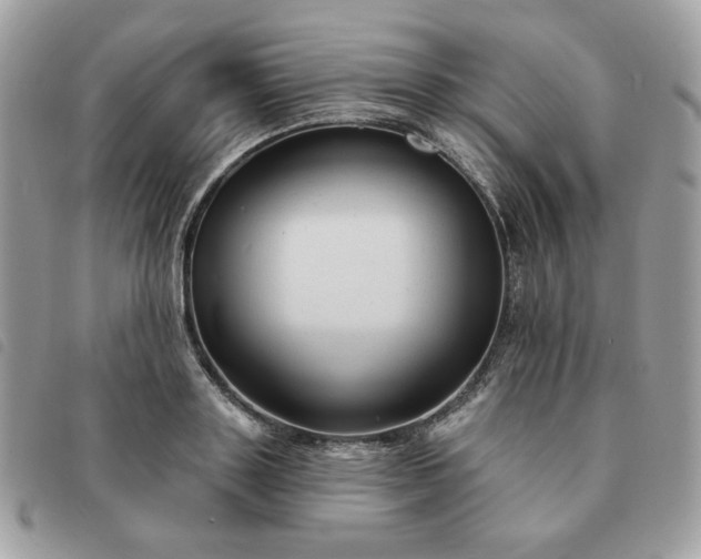 X0000091290843200708171343