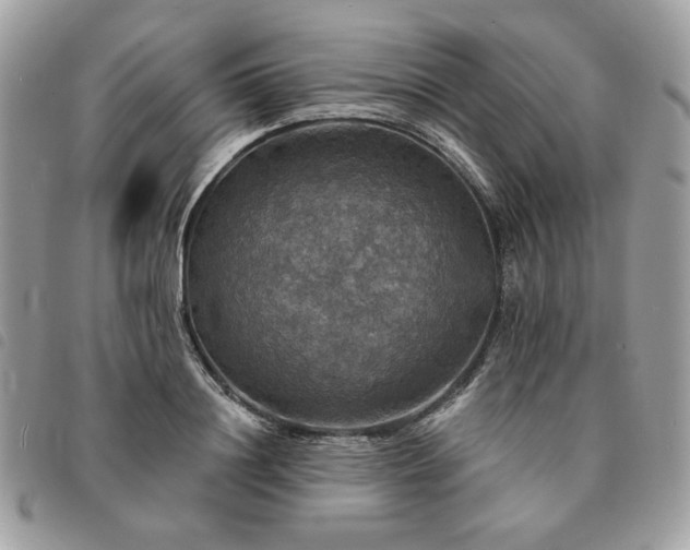 X0000091290844200708171343