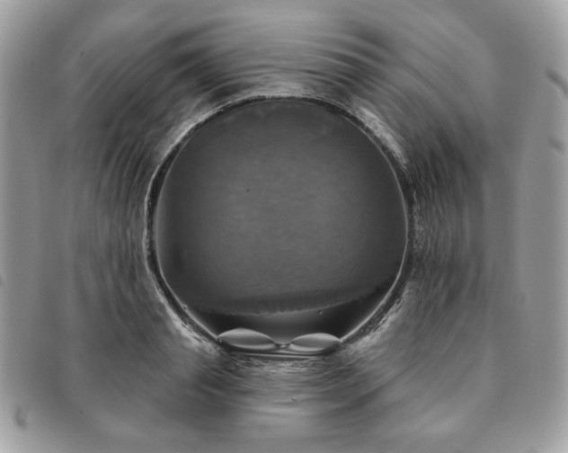 X0000091290845200708171343