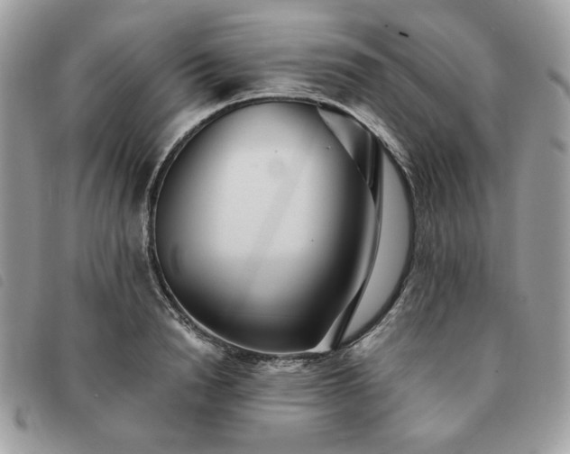 X0000091290846200708171343