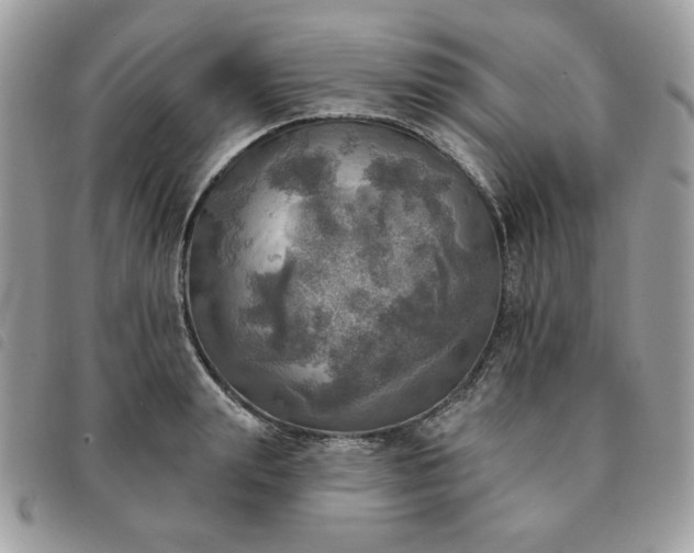 X0000091290847200708171343