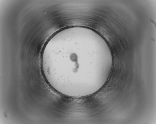 X0000091290848200708171343