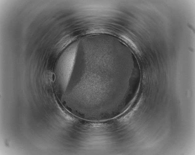 X0000091290849200708171343