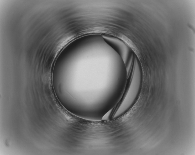 X0000091290850200708171343