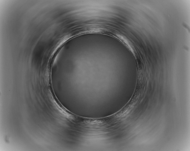 X0000091290851200708171343