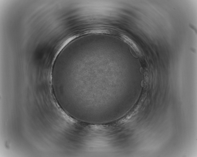 X0000091290852200708171343