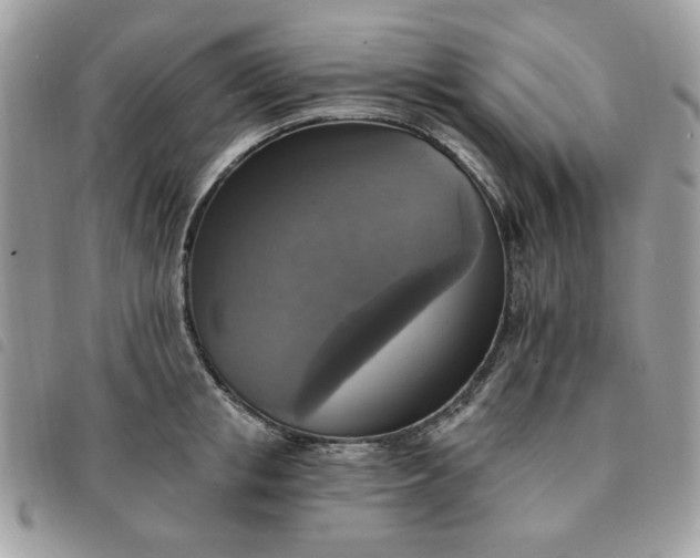 X0000091290853200708171343