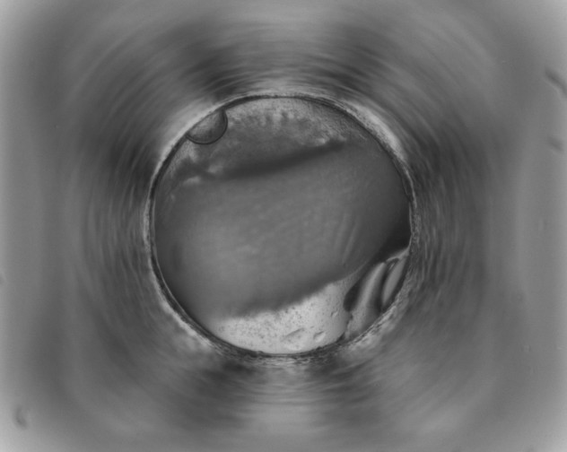 X0000091290855200708171343