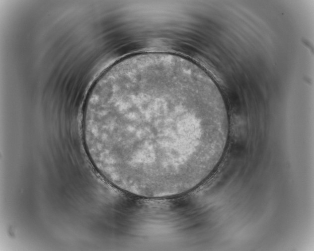 X0000091290856200708171343