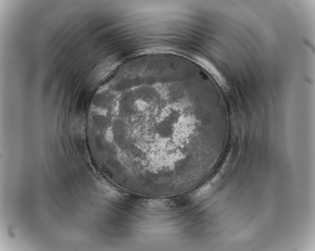 X0000091290857200708171343