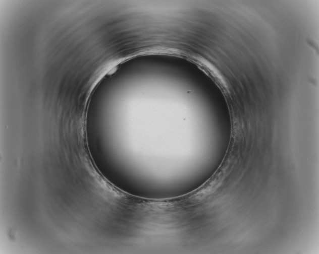 X0000091290860200708171344