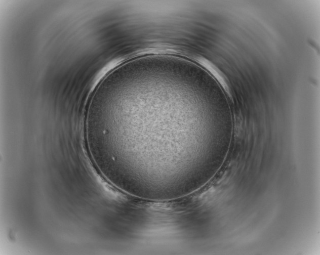 X0000091290861200708171344