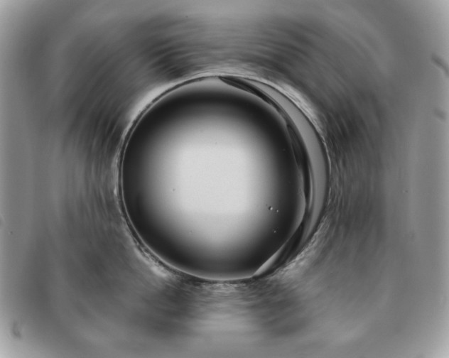 X0000091290862200708171344