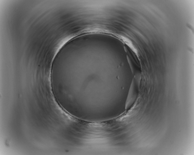 X0000091290863200708171344