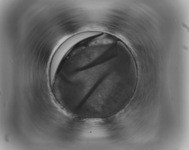 X0000091290864200708171344