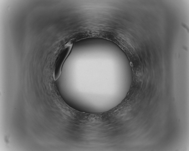 X0000091290865200708171343