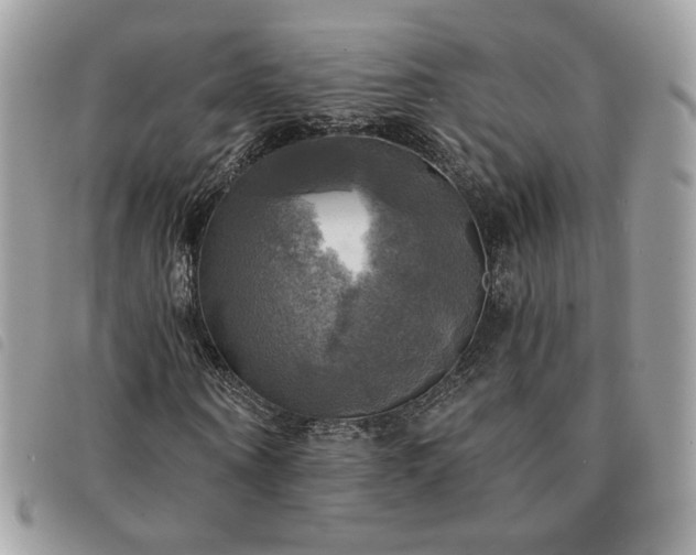 X0000091290866200708171343