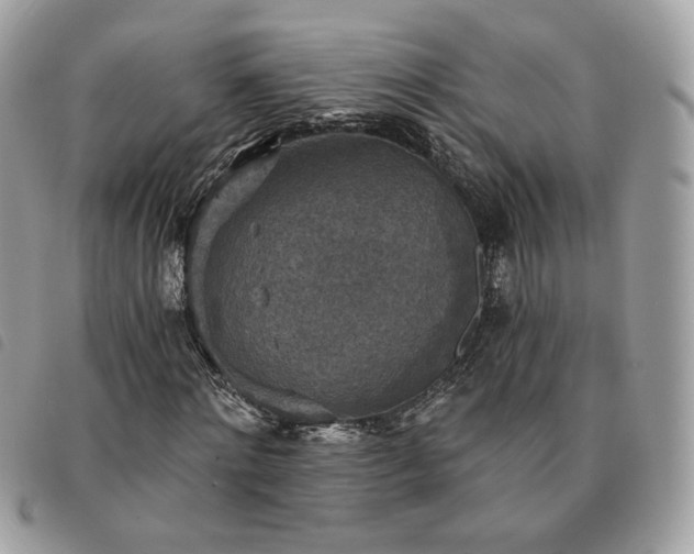 X0000091290868200708171343