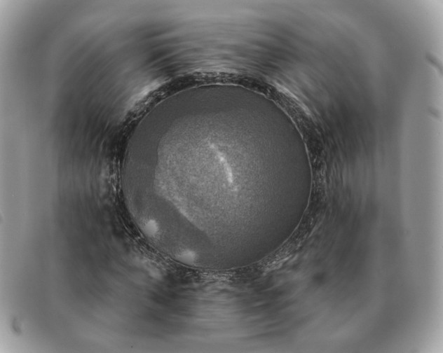 X0000091290870200708171343