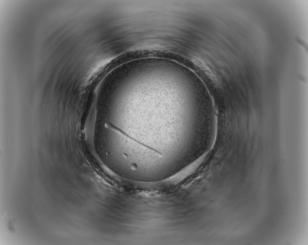 X0000091290872200708171343