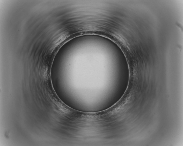 X0000091290873200708171343