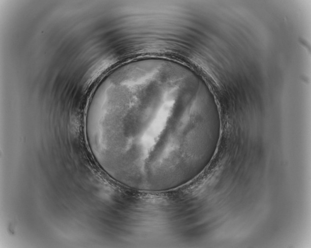 X0000091290874200708171343