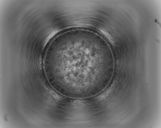 X0000091290875200708171343