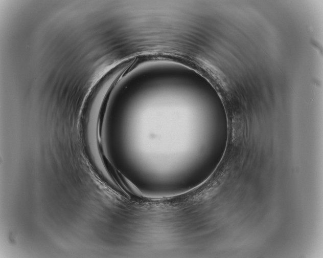 X0000091290876200708171343