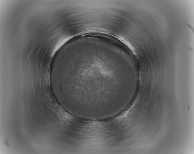 X0000091290877200708171343