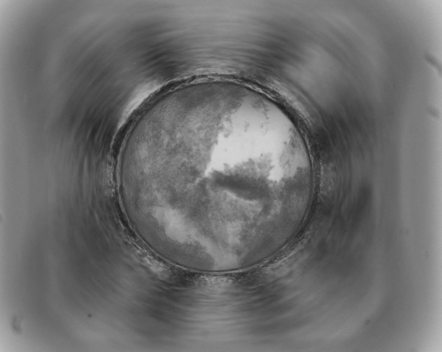 X0000091290878200708171343