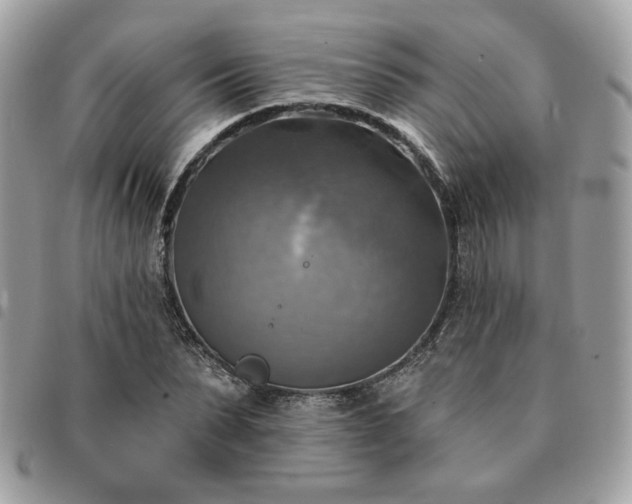 X0000091290879200708171343