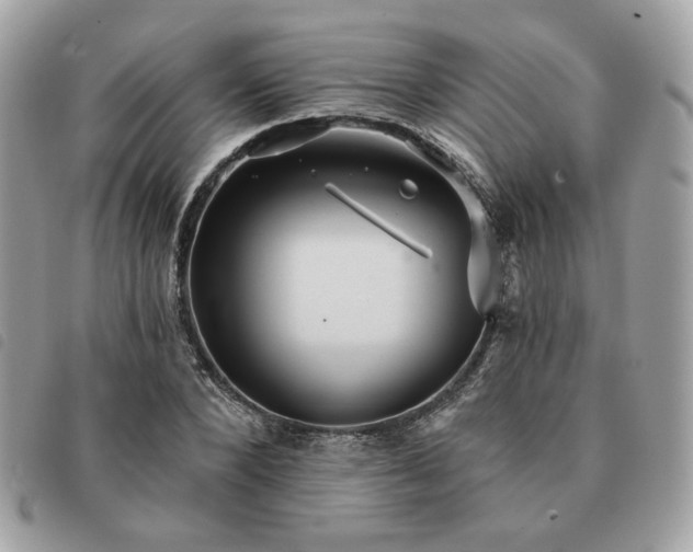 X0000091290880200708171343