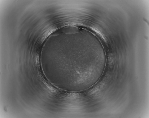 X0000091290881200708171343