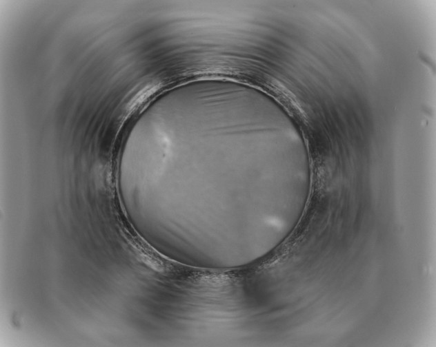 X0000091290882200708171343