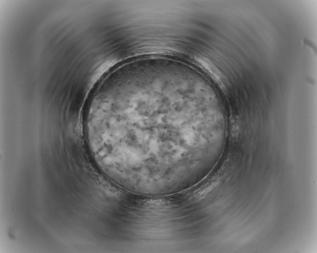 X0000091290883200708171343