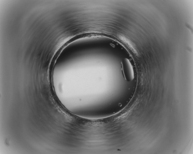 X0000091290884200708171343