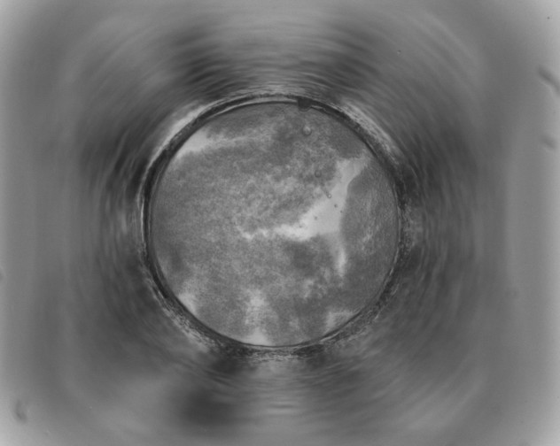 X0000091290886200708171343