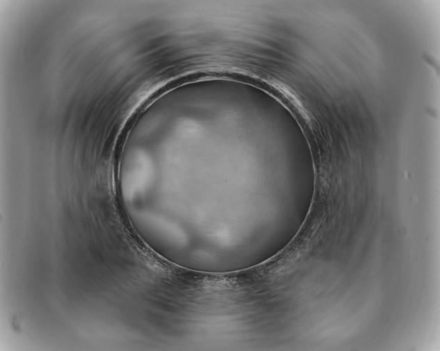 X0000091290887200708171343