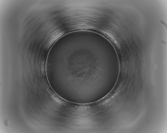 X0000091290889200708171343