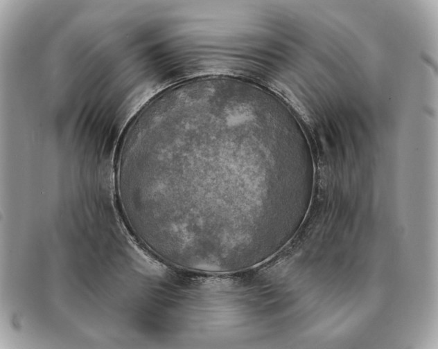 X0000091290890200708171343