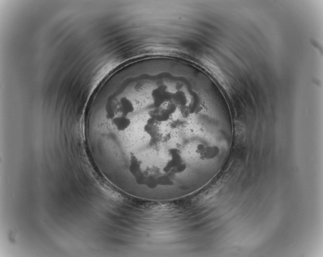 X0000091290891200708171343