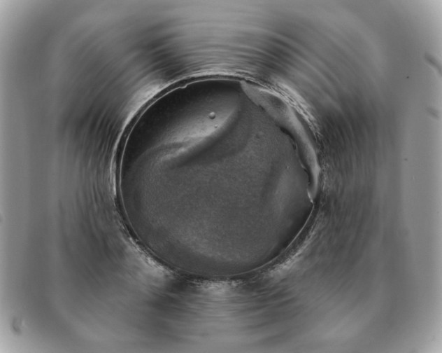 X0000091290892200708171343