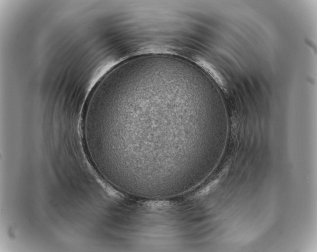 X0000091290893200708171342