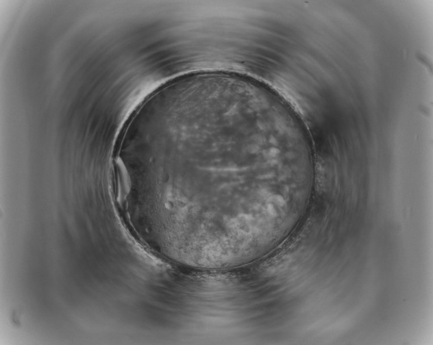 X0000091290895200708171342