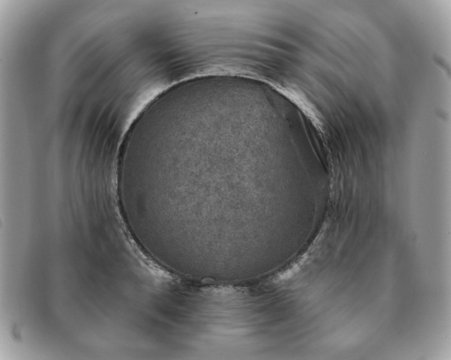 X0000091290896200708171342