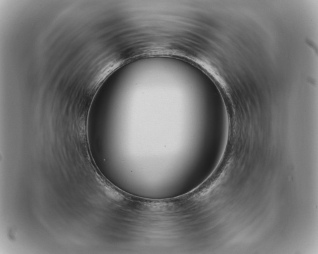 X0000091290897200708171342