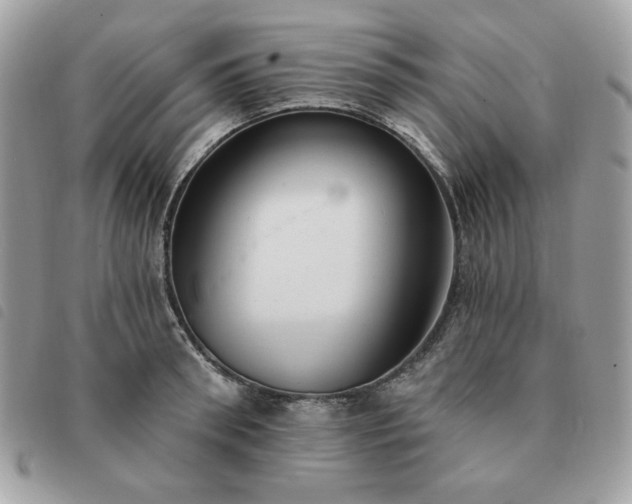 X0000091290898200708171342