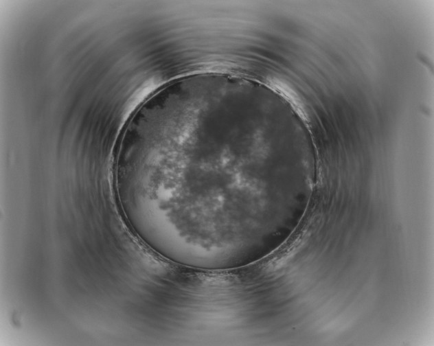 X0000091290899200708171342